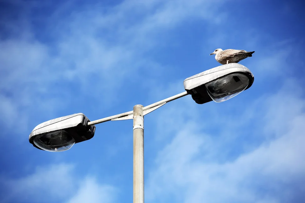 @FOTO 7 - HOWTH 5  MARZO 2006.jpg