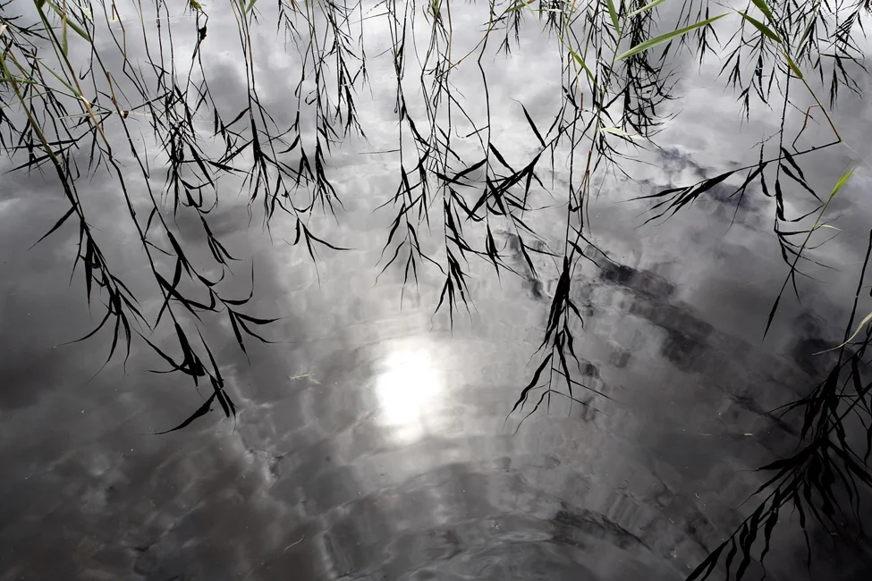 @FOTO 32 - SLIGO CONTEA2 5 agosto 2007.jpg