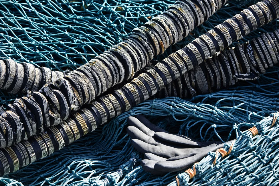 FOTO 15 come oggetto avanzato-1.jpg