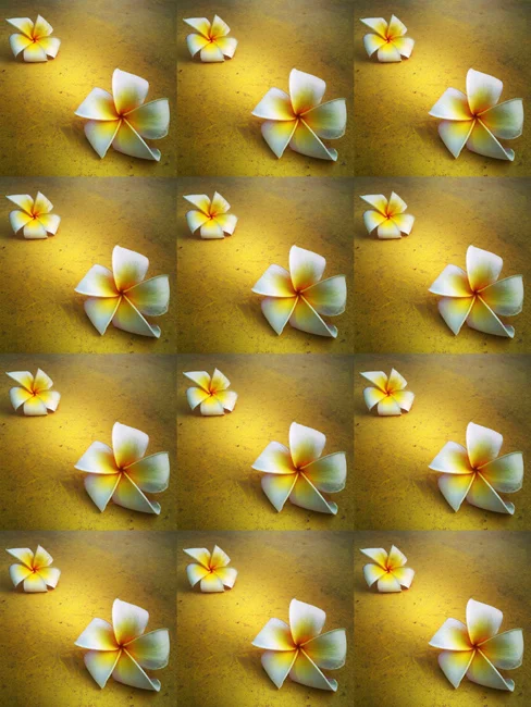 yellow.jpg