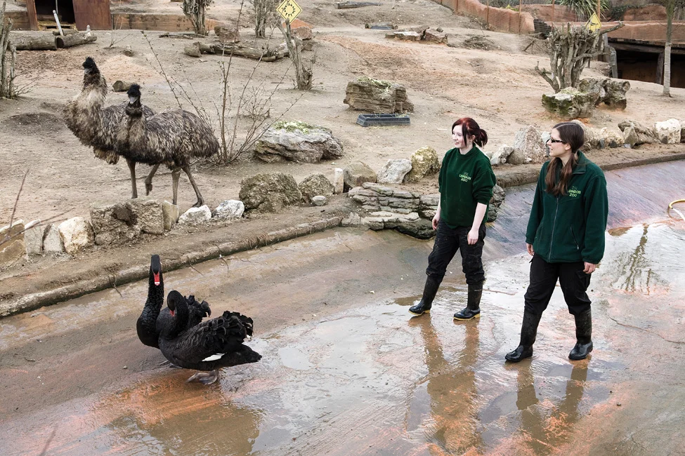 zookeepers_004.jpg