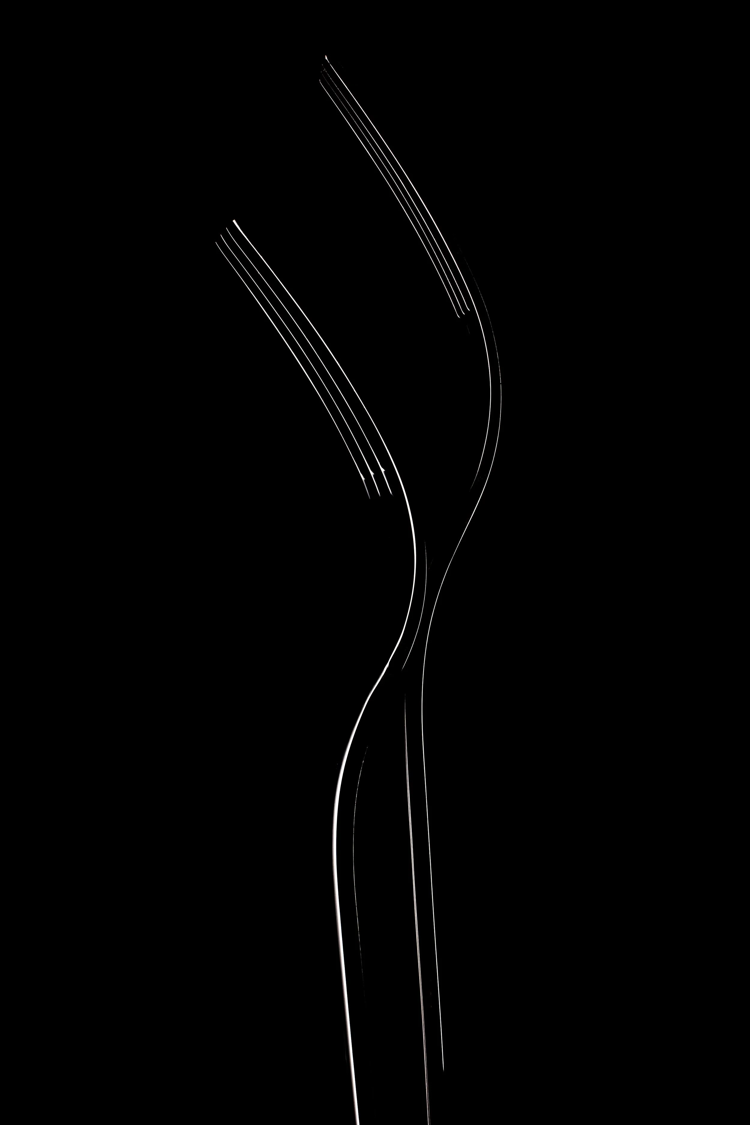 forks.jpg