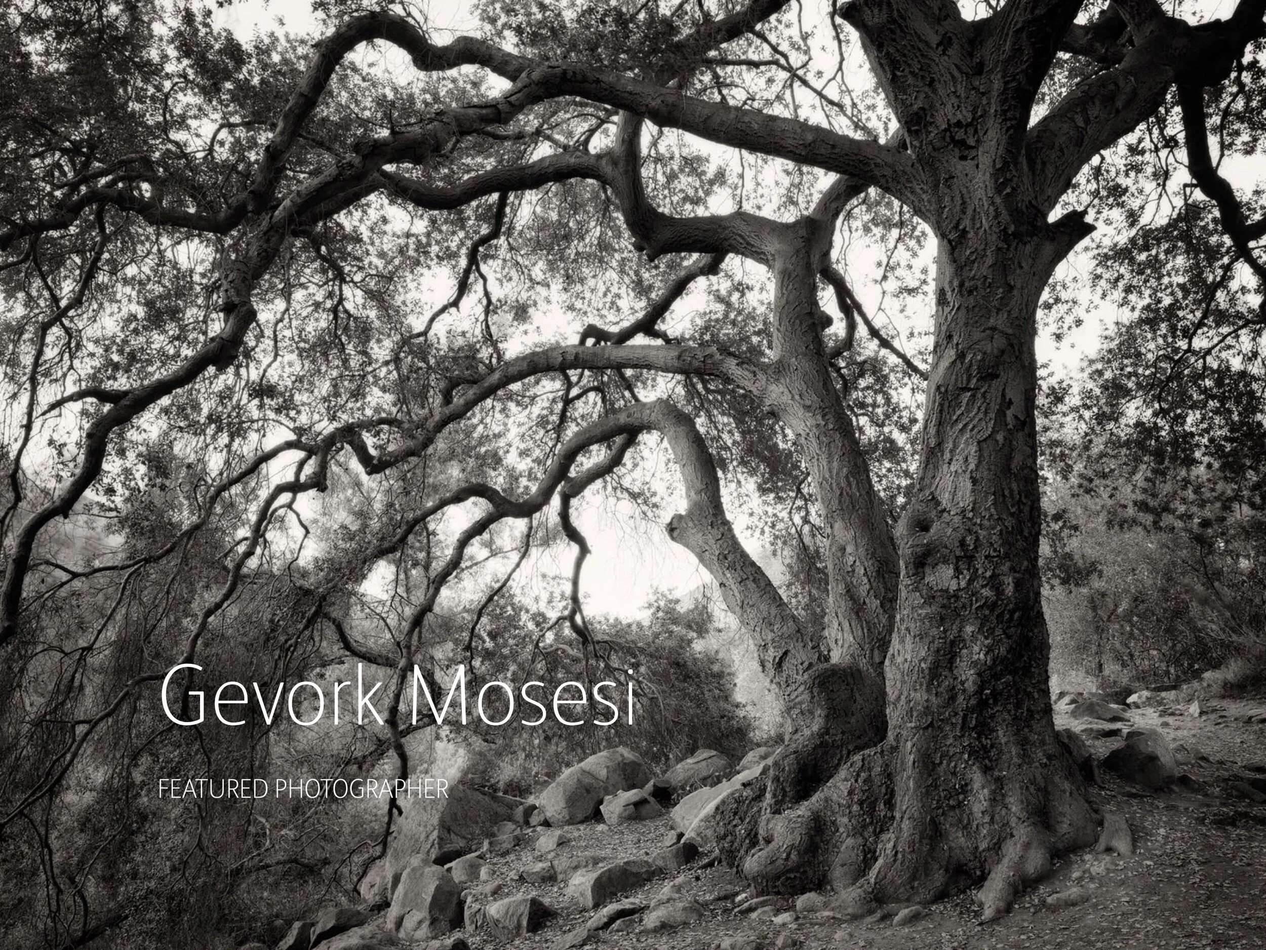 On_landscape_emag_194-GevorkMosesi (dragged) 2 3.jpeg