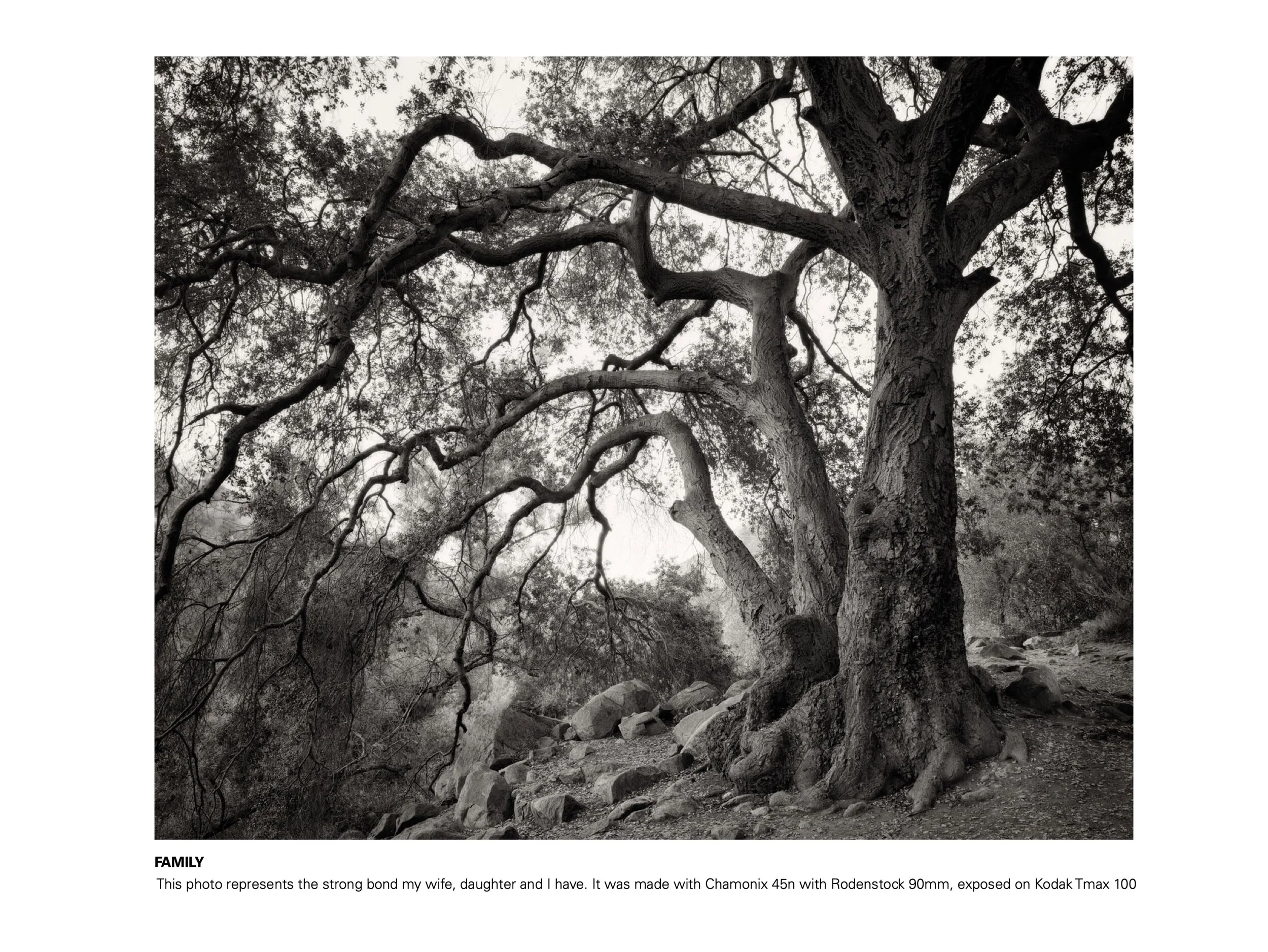 On_landscape_emag_194-GevorkMosesi (dragged) 10 3.jpeg