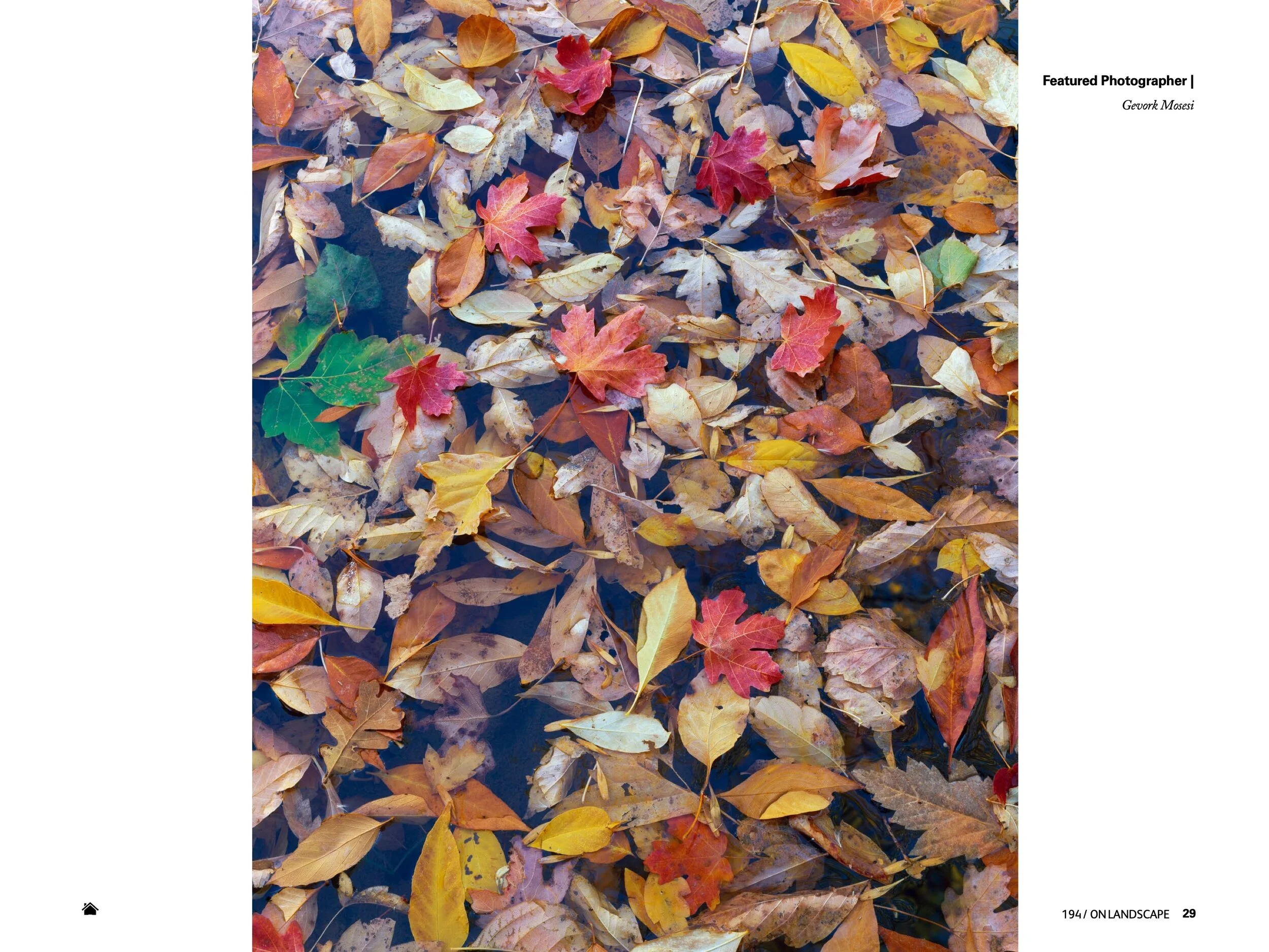 On_landscape_emag_194-GevorkMosesi (dragged) 27 3.jpeg