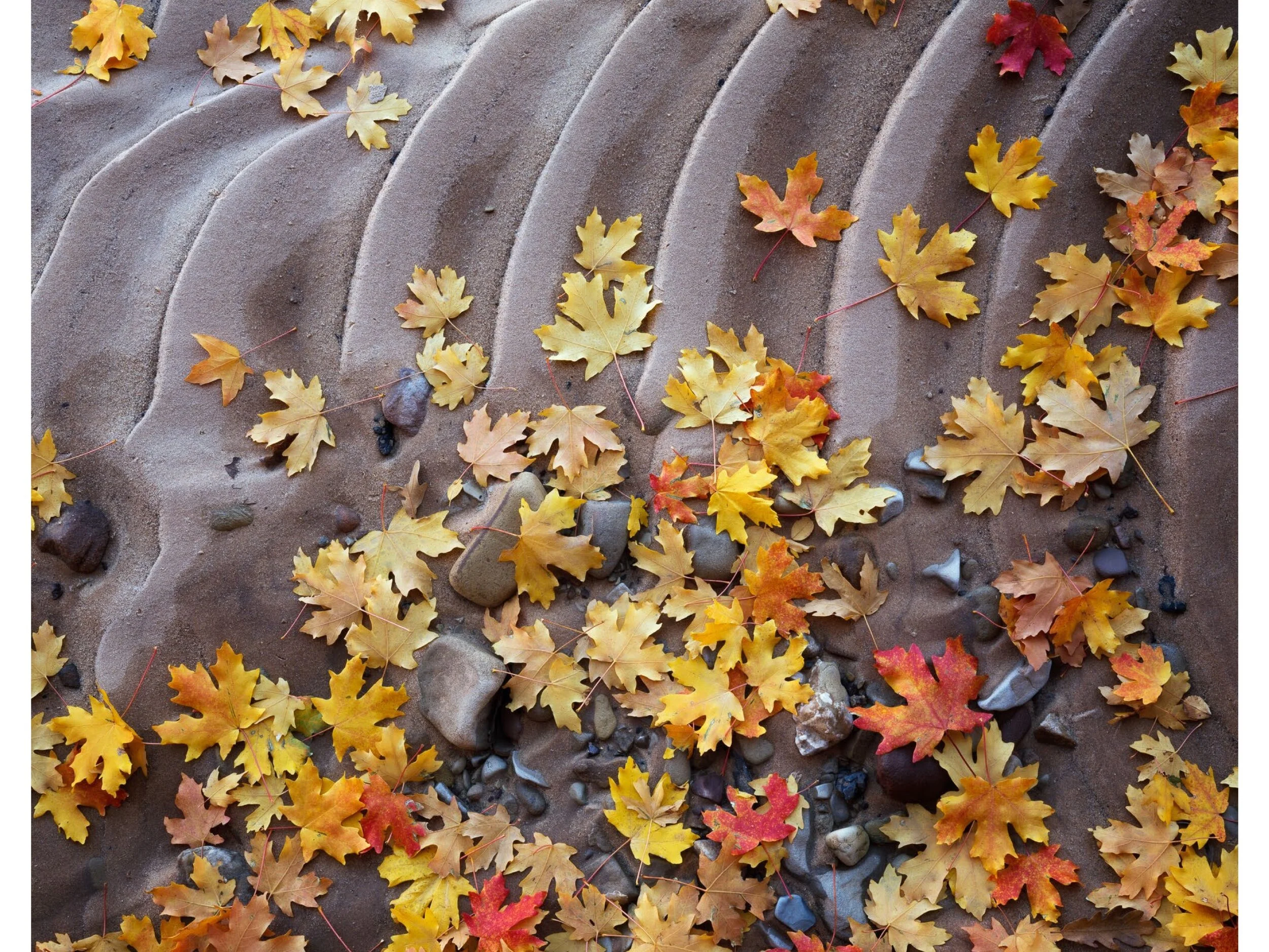 On_landscape_emag_194-GevorkMosesi (dragged) 29 3.jpeg