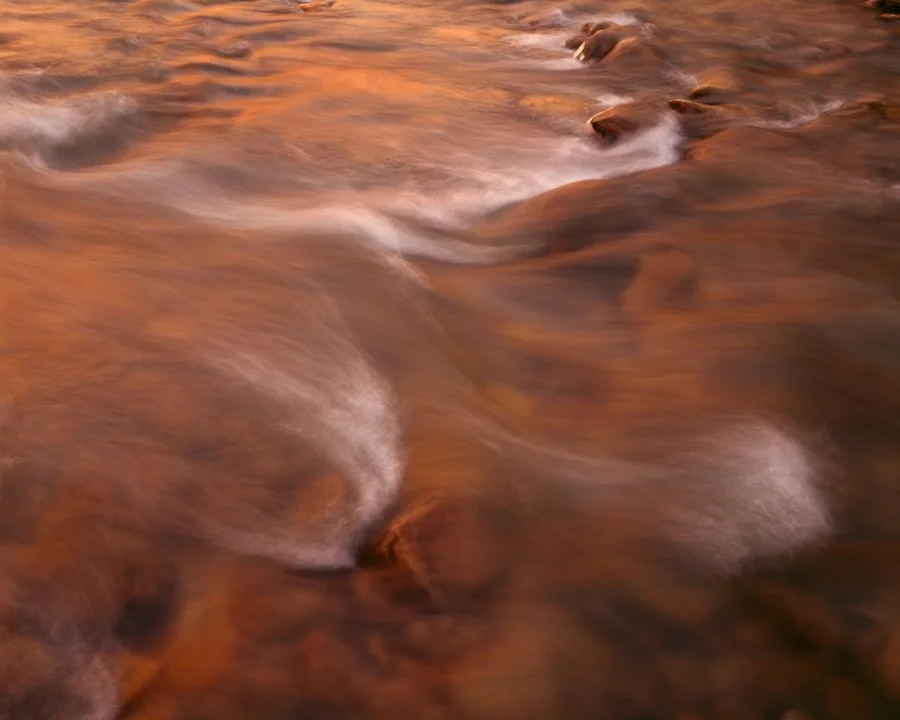 Gevork_Mosesi_Photography_large_format_landscape_redwoods_swiss_analog_photography_zion_national_park_autumn_fall-6.jpg