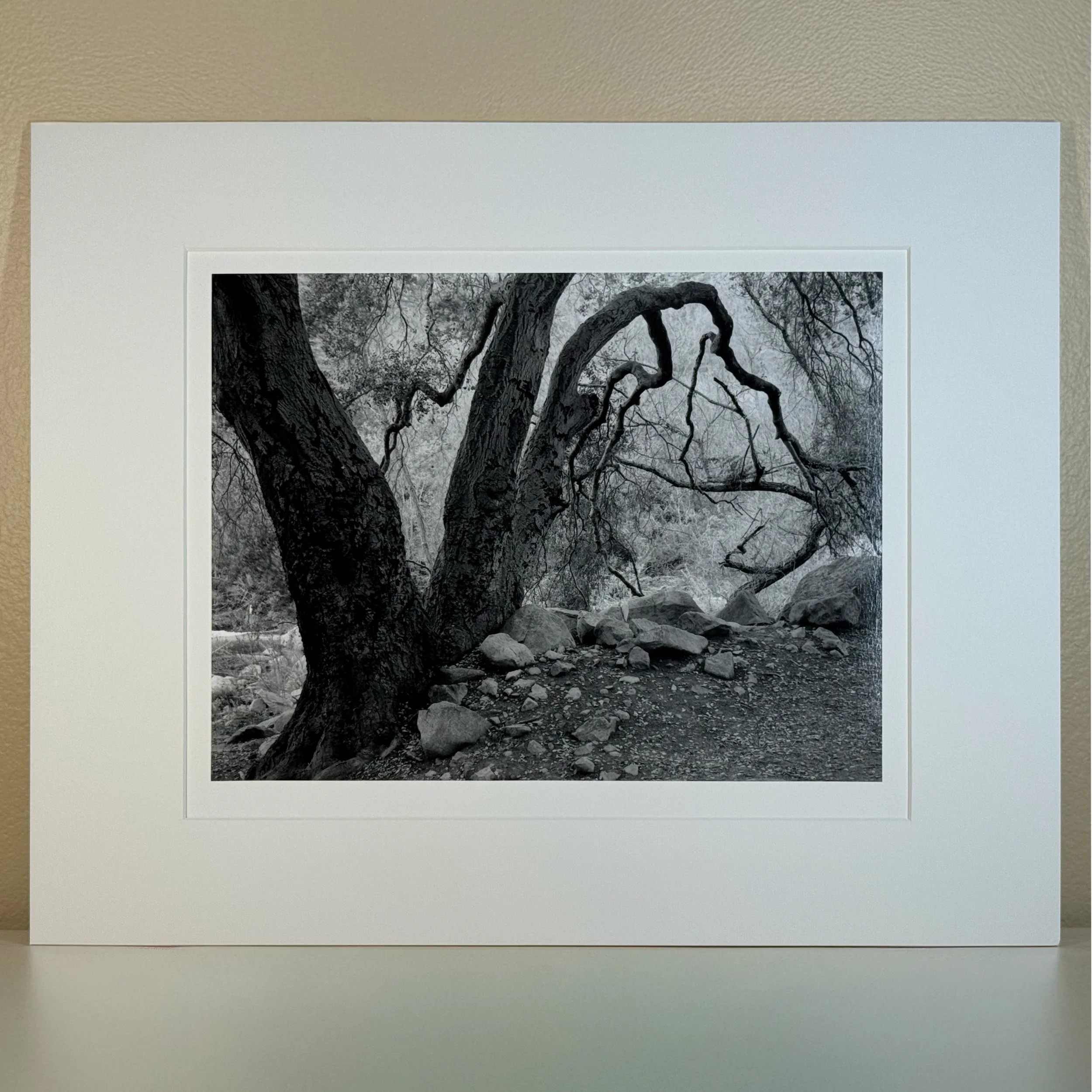 gevork_mosesi_silver_gelatin_darkroom_fine_art_print_10.jpg