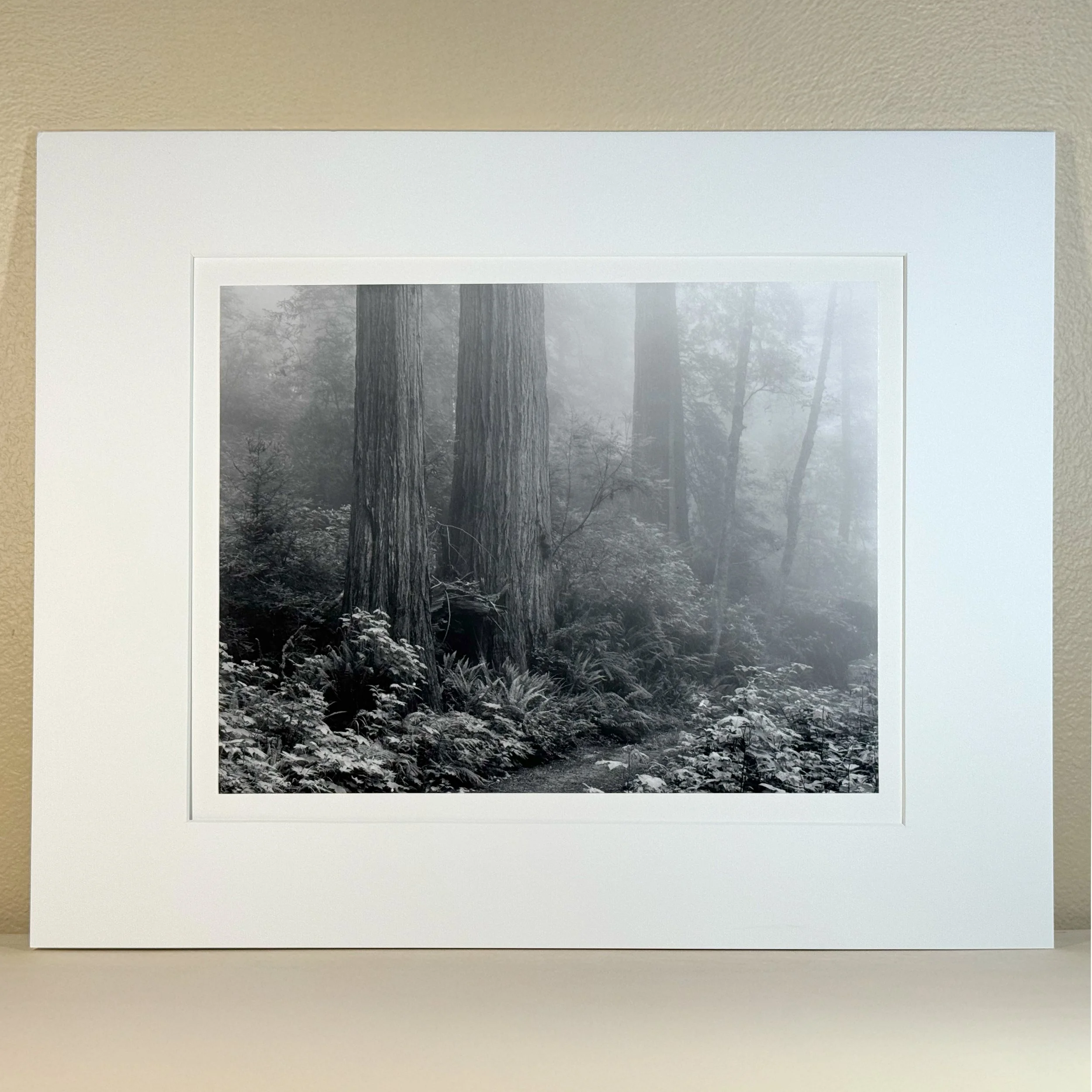 gevork_mosesi_silver_gelatin_darkroom_fine_art_print_17.jpg