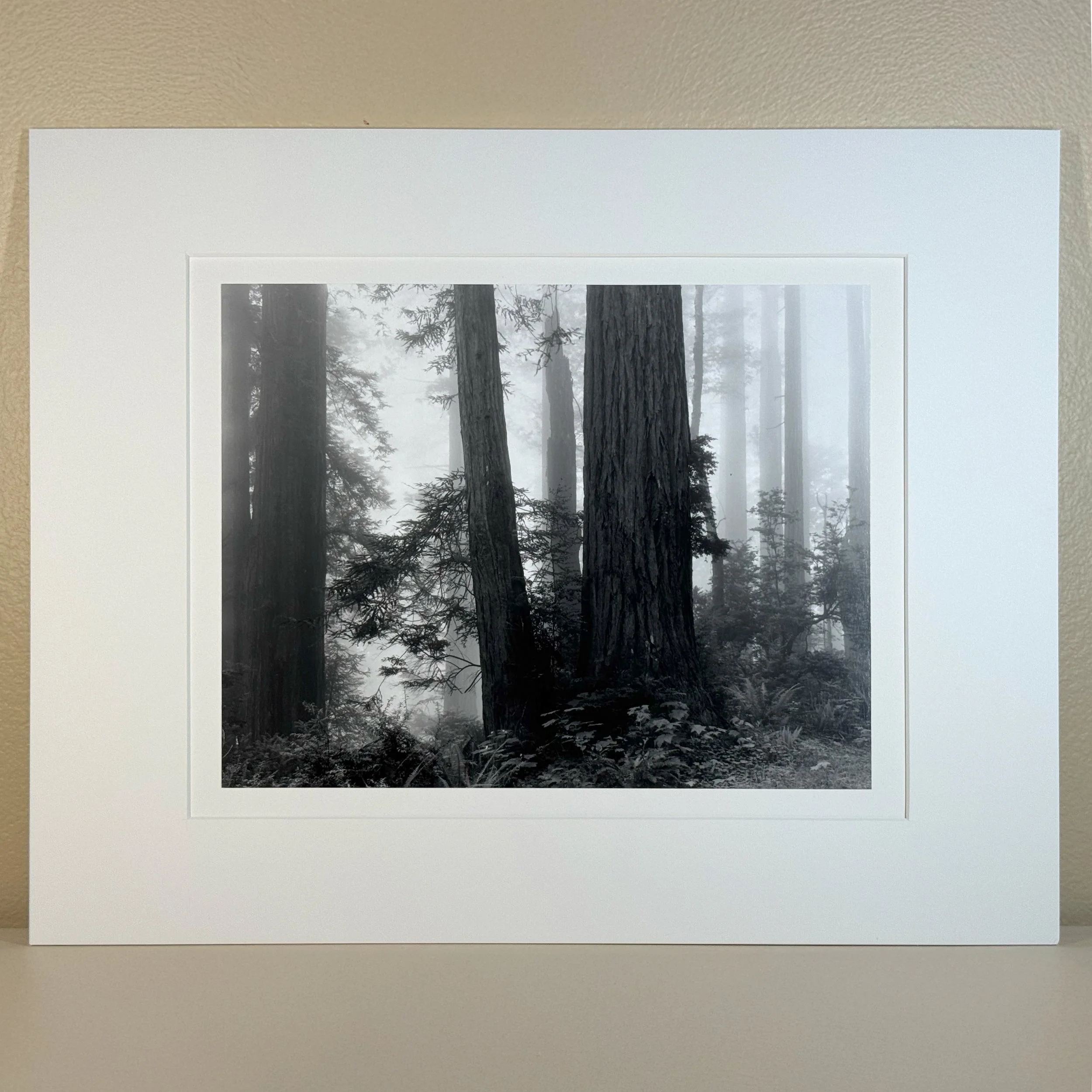 gevork_mosesi_silver_gelatin_darkroom_fine_art_print_19.jpg