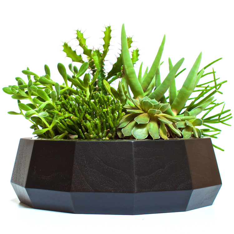 Revolution-Design-House-MiA-Project-gobi-sandbox-xl_4.jpg