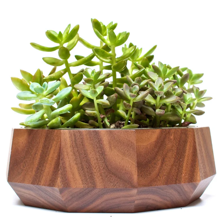 Revolution-Design-House-MiA-Project-gobi-sandbox-walnut_2.jpg