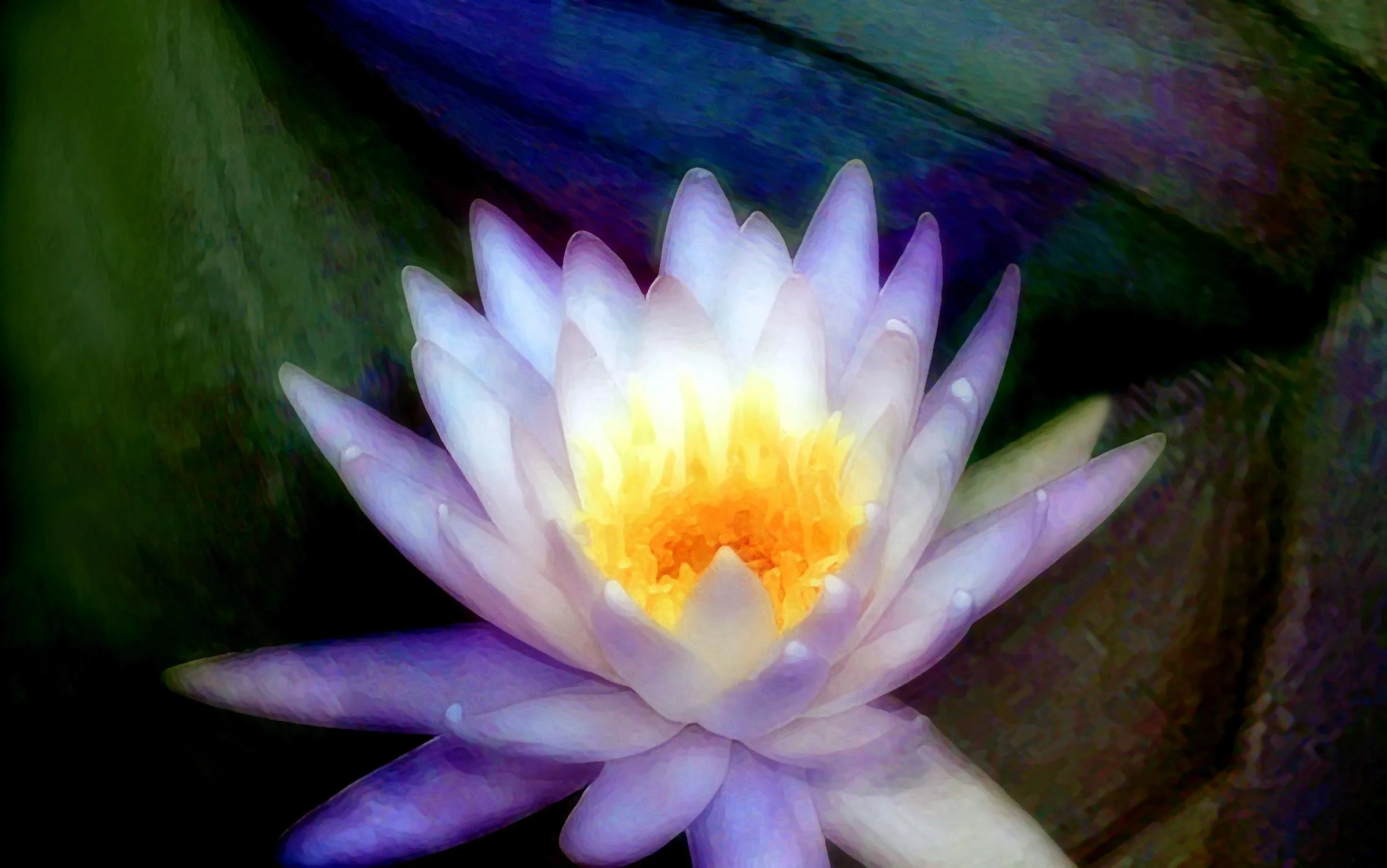 Blue Lotus