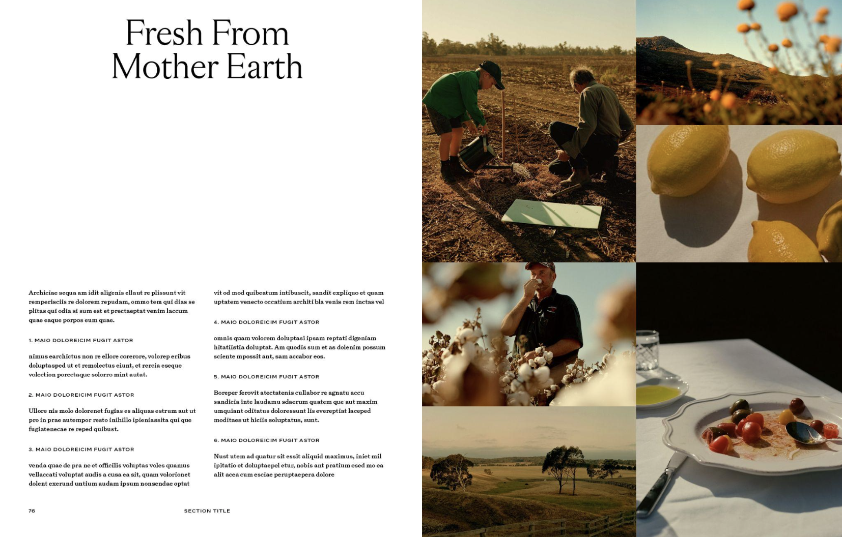 Screenshot 2026-01-06 at 5.12.14 PM.png