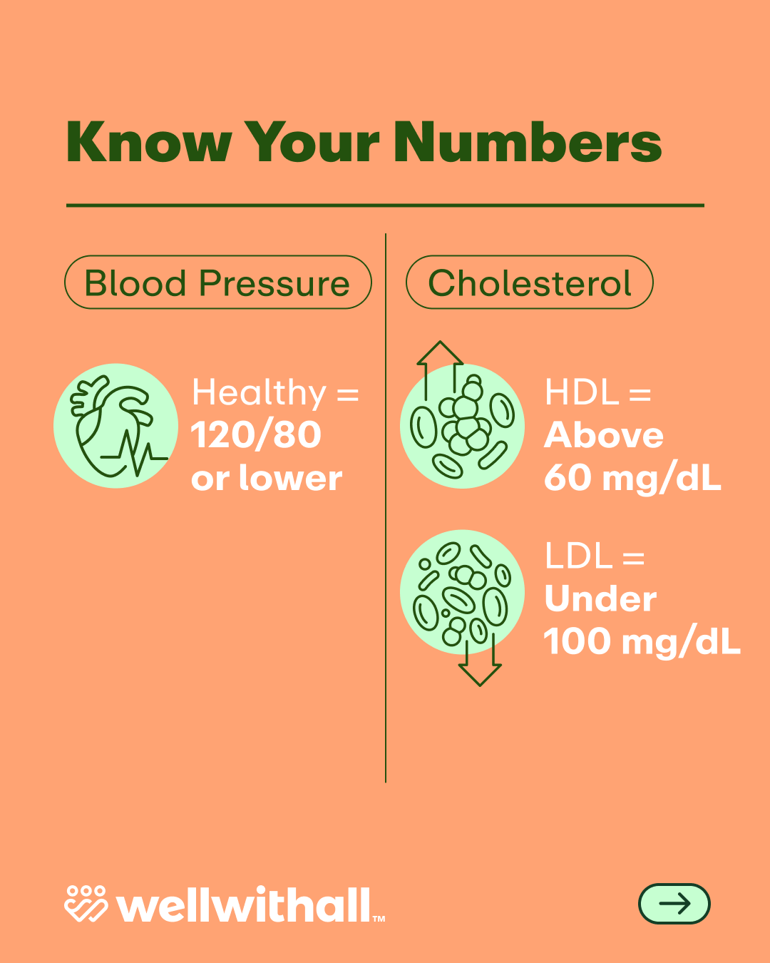 Slide 4 —  Option 4.png