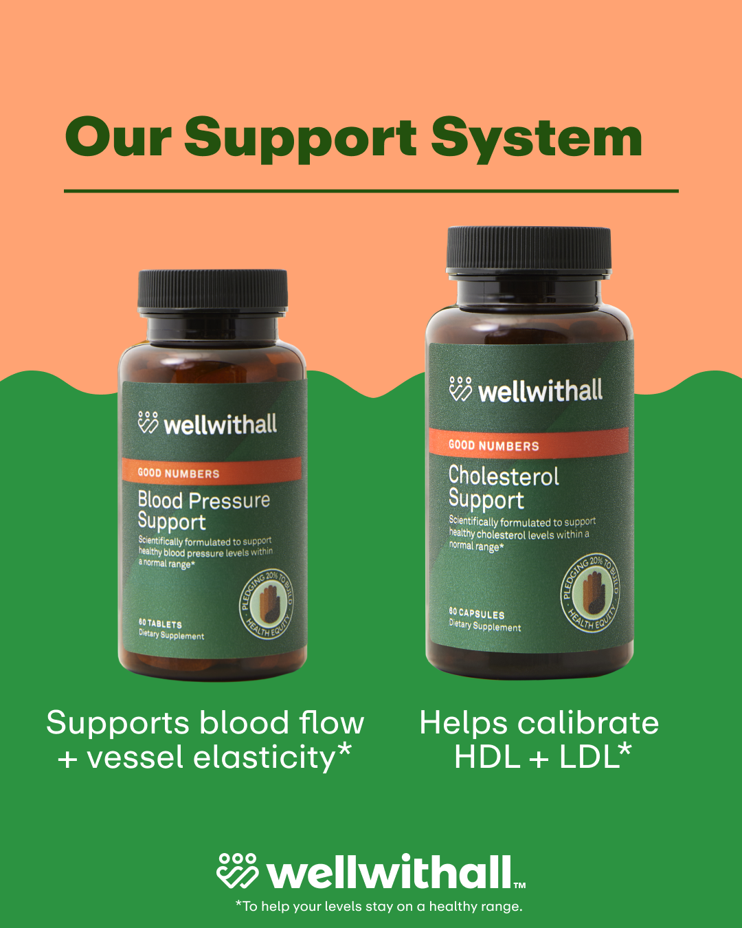 Slide 6 Option —  Option 4 (2).png