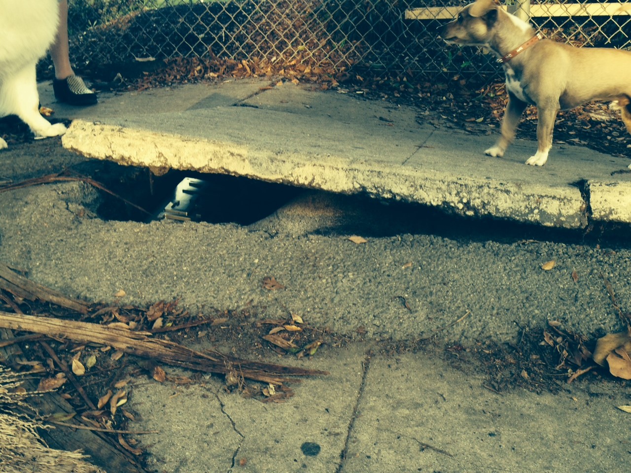 Martin George "Buried Treasure"