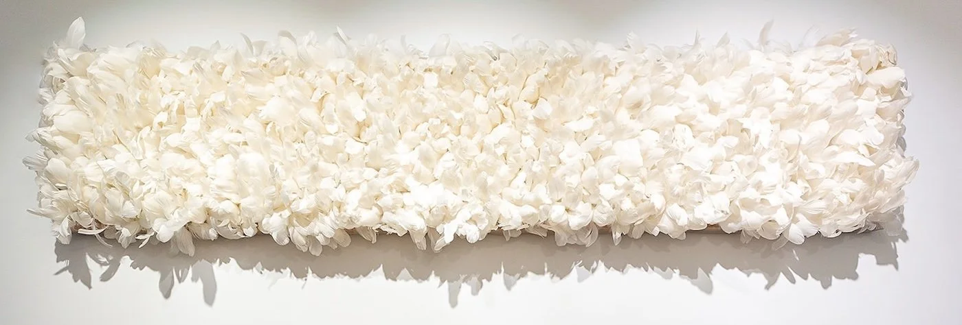 Untitled (feathers)