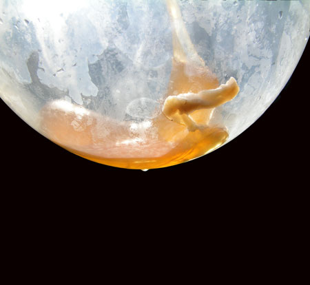 Over the Moon 30