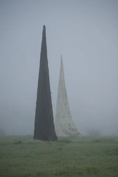 mist-sails-3-for-web.jpg