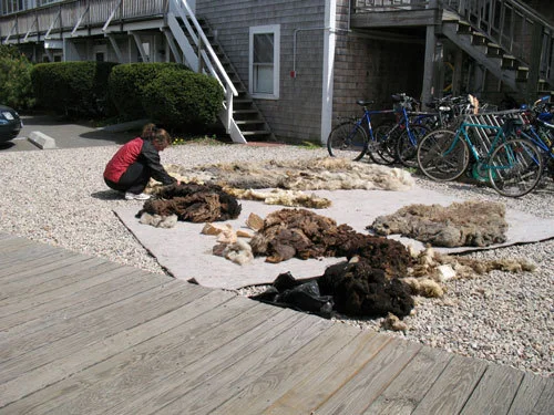 nancy winship milliken