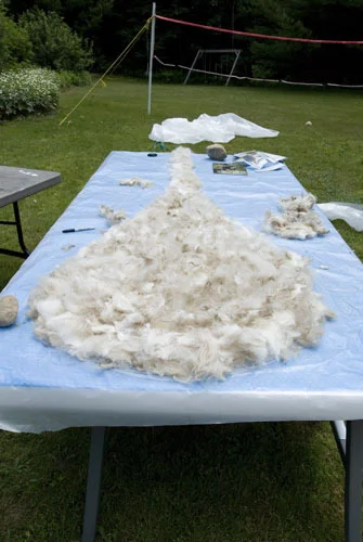 nancy winship milliken