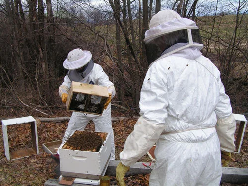 nancy winship milliken