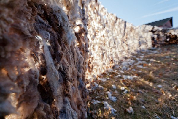 sheep fence-148.jpg