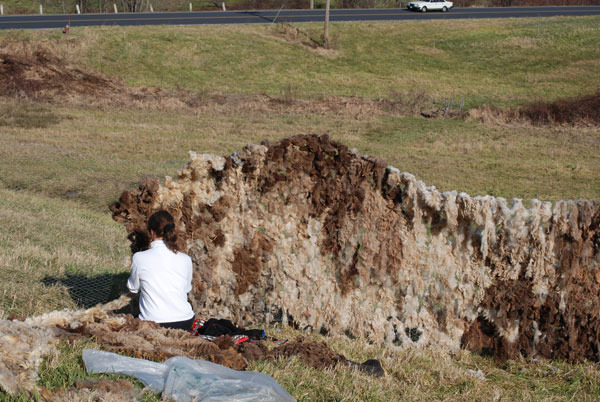 walling-in-day-13-f-for-web.jpg