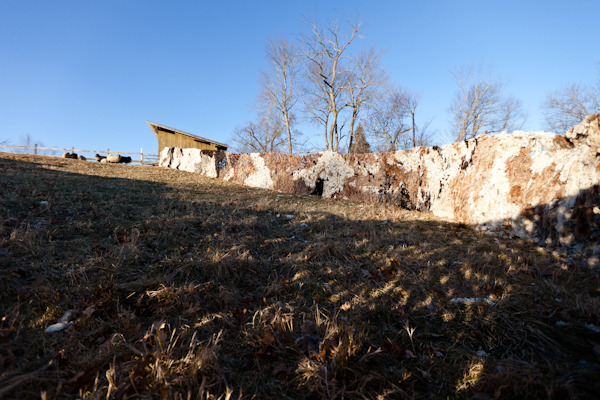 sheep fence-168.jpg