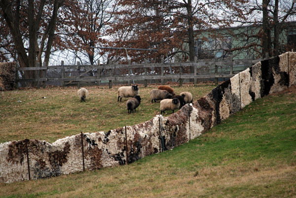 walling-in-dec-14-for-web-h.jpg