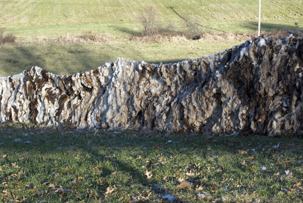 walling-in-for-web-day-7b.jpg