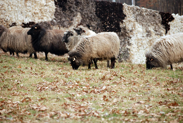 walling-in-dec-14-for-web-b.jpg