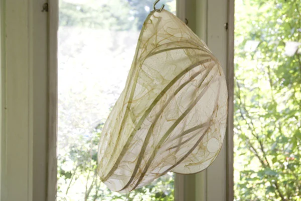 bag-of-wind-for-web.jpg
