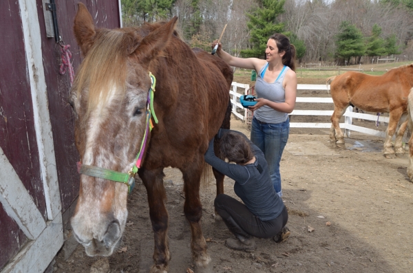 Katie the horse and Barn Manager, Christina Anderson from Blue Star Equiculture. Photo by Jill Greenberg