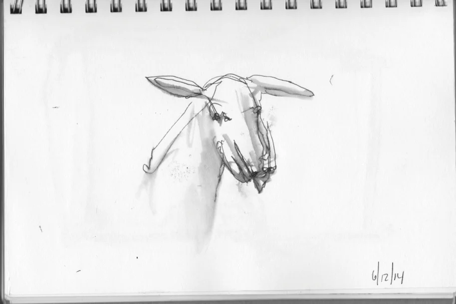 Shelburne Farms, 6/12/14