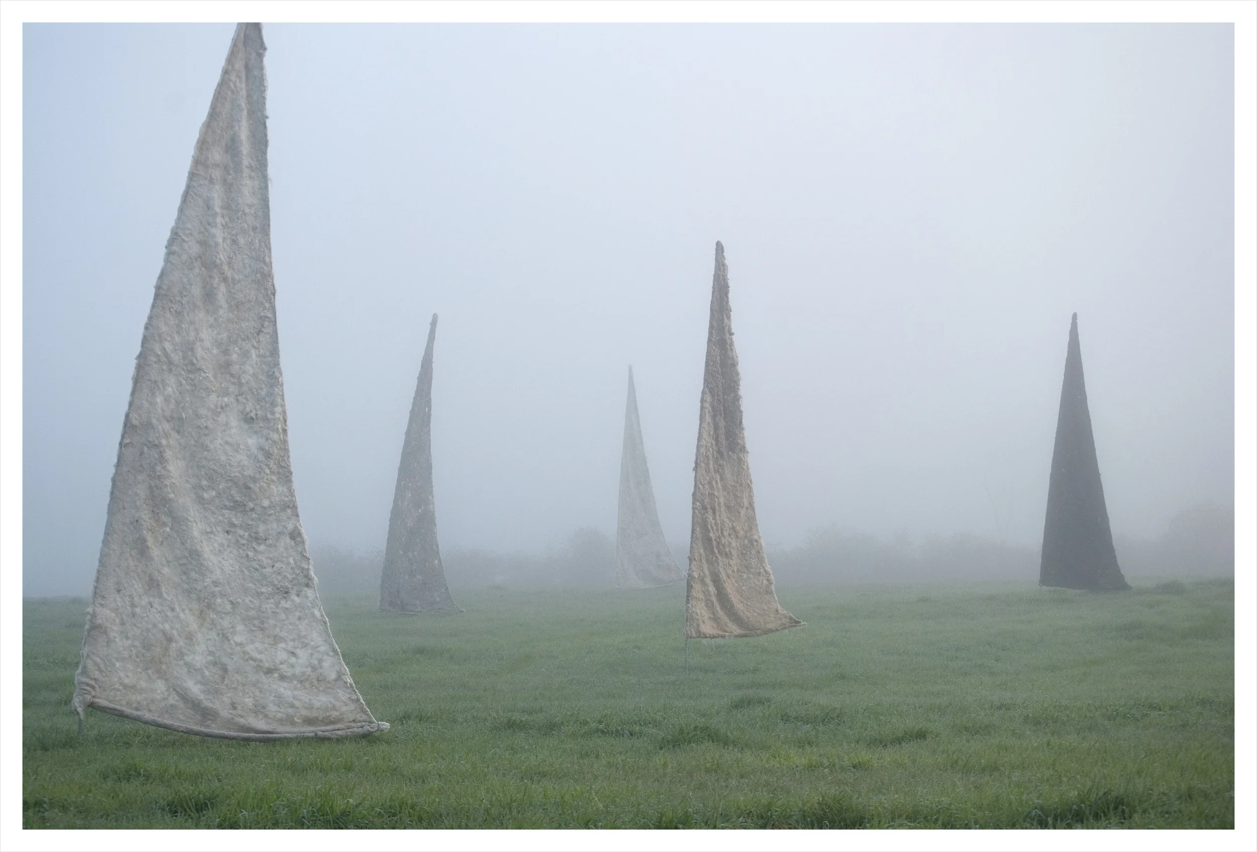 Mist Sails, Nancy Winship Milliken .JPG