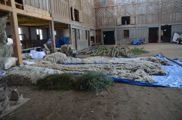 Collecting New Materials