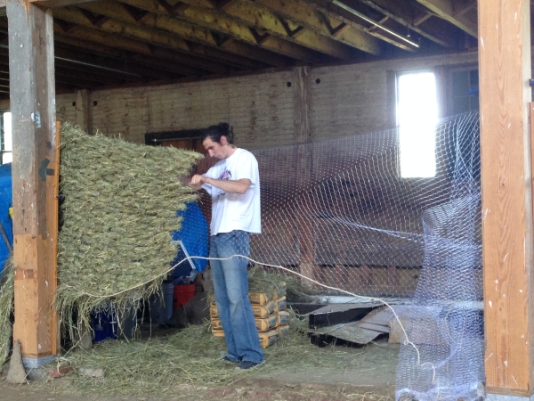  Charlie McElwee weaving his magic on the hay sail 