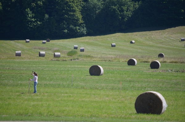  Staking out the field for next week's install 