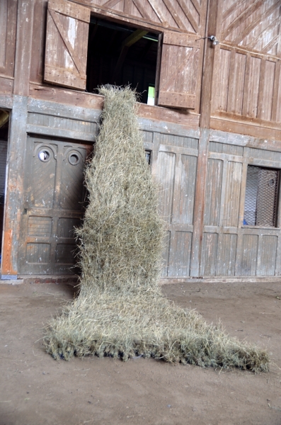  This hay sculpture was made to learn about bringing the field up off the ground and sailing away 