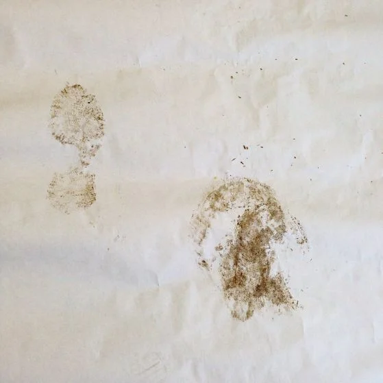  monoprint of hoof and boot, using pasture mud 