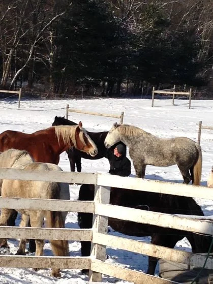  Poet Doug Anderson conversing with the herd 