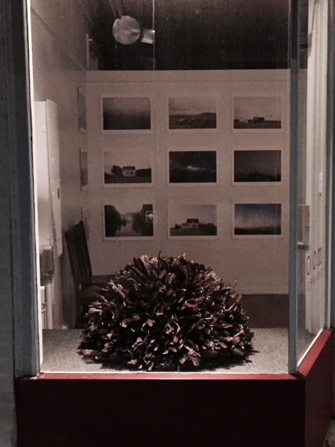 North Flower, 2015