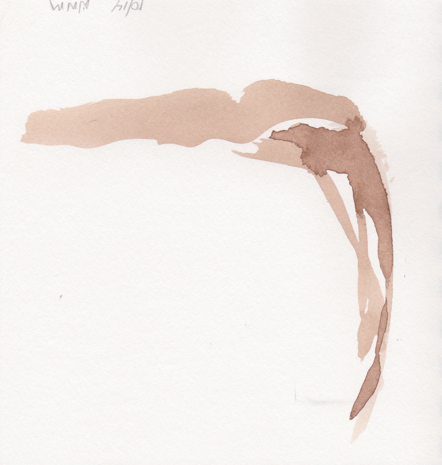 Windscape 1 signed.jpeg