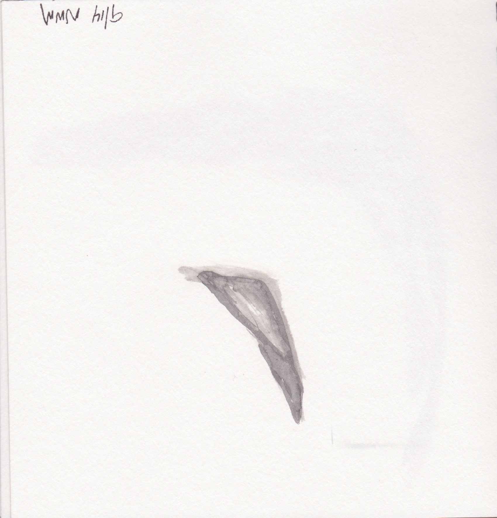 Windscape 3 signed.jpeg