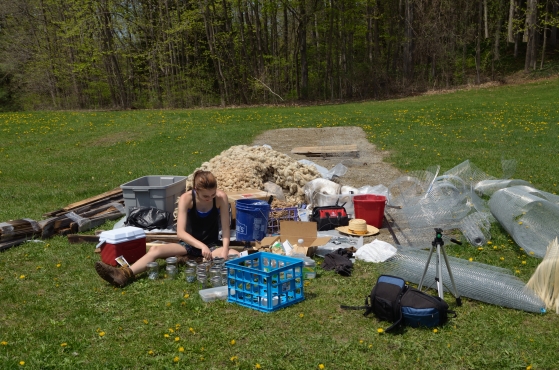  UMass student intern Annie Conant sorts out all of the misc. nuts and bolts 