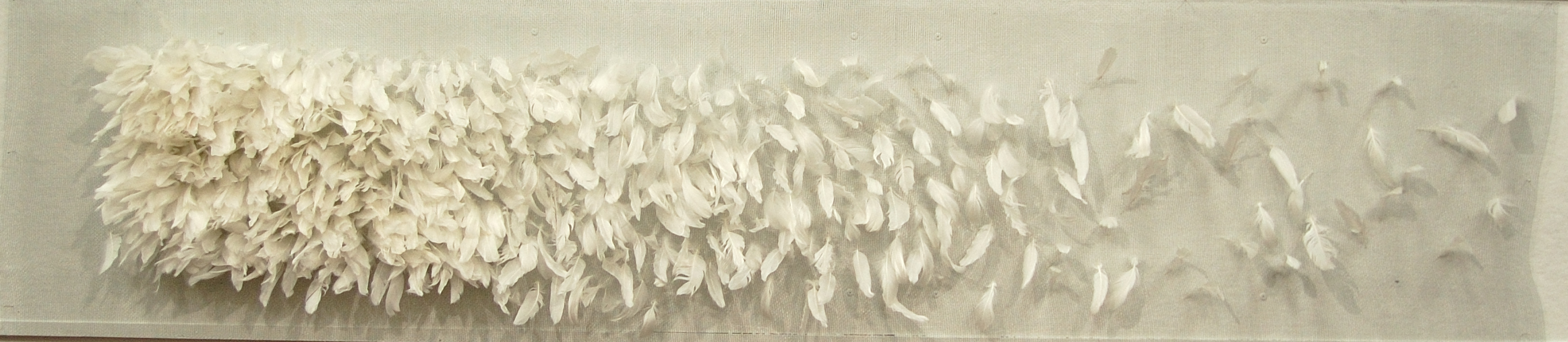 My Mother Killed, duck feathers, hardware cloth, 10x2', 2014