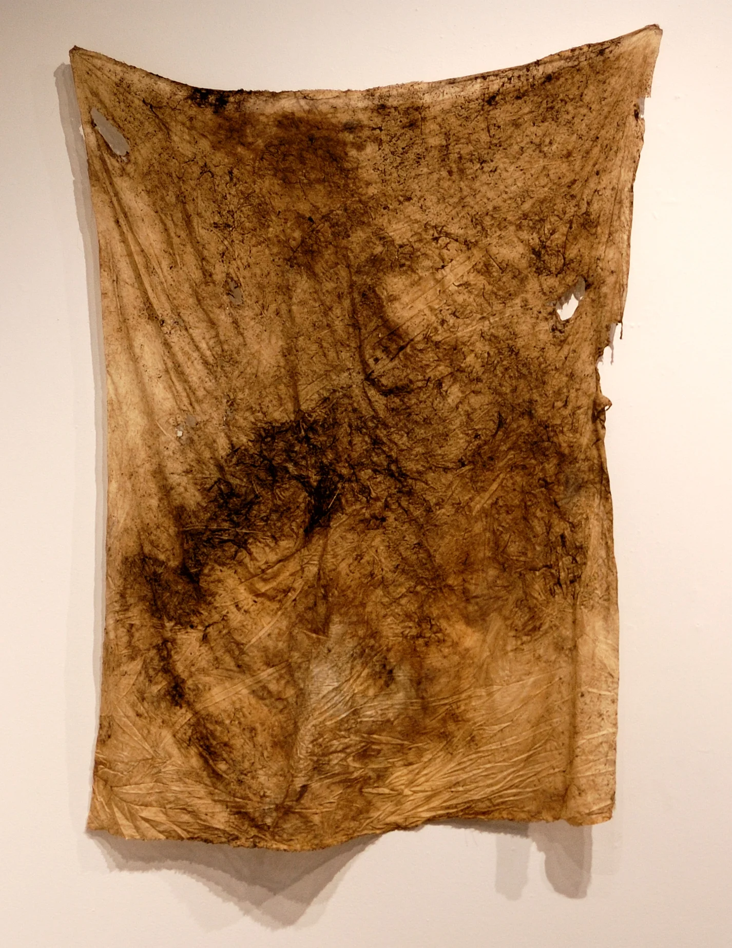 Compost Print_1nancy winship mi_01.JPG