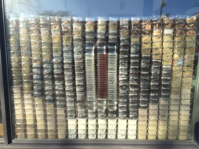 Nancy Winship Milliken, Cataloging Knowledge (outside image), 2016